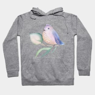 Cute Bird on Branch Hoodie